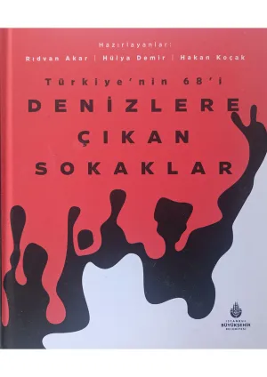 Denizlere Çıkan Sokaklar: Türkiye'nin 68'i kitabı kapağı