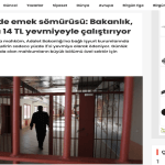 Cezaevlerinde emek sömürüsü: Bakanlık, mahkûmları 14 TL yevmiyeyle çalıştırıyor