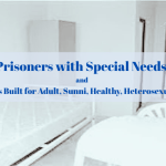 Prisoners with Special Needs and Turkey’s Prisons Built for Adult, Sunni, Healthy, Heterosexual Turkish Men