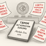 TBMM Hükümlü ve Tutuklu Hakları Alt Komisyonu’nda Dile Getirdiğim Görüşler